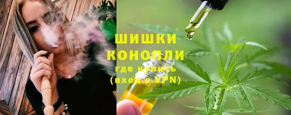 сатива Абинск