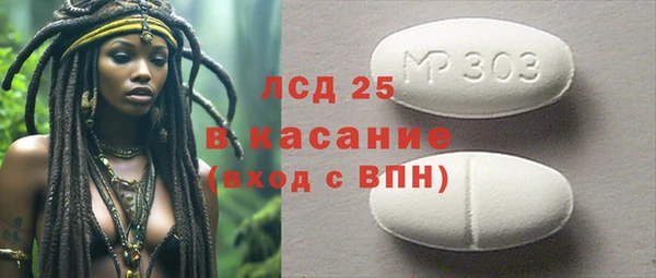 гашик Алексин