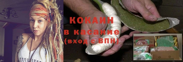 сатива Абинск