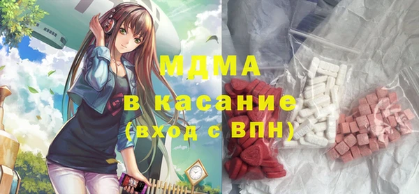 гашик Алексин
