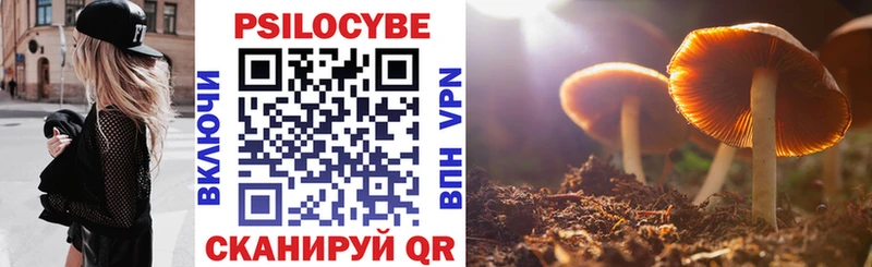 что такое наркотик  Богородицк  Псилоцибиновые грибы Magic Shrooms 